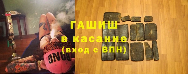 индика Сатка