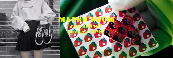 индика Сатка