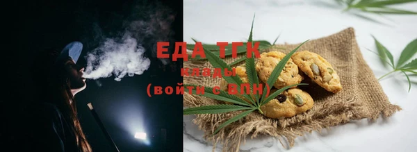 индика Сатка