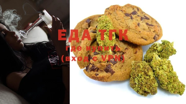 индика Сатка