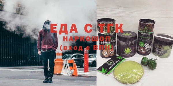 индика Сатка