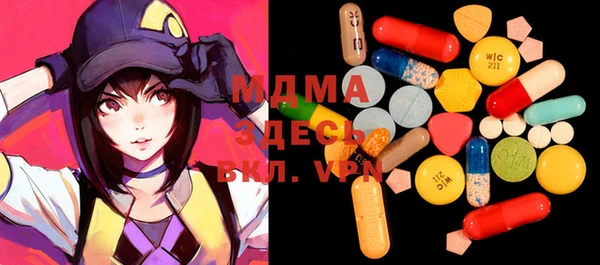 индика Сатка